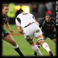 Sharks Crusaders